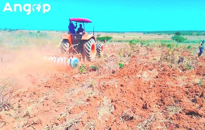 Município do Quela apoia agricultura familiar com a distribuição de terras