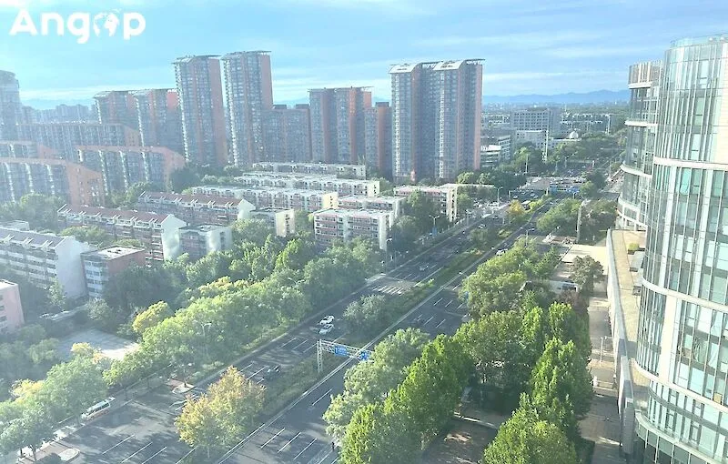Dezasseis mortos em deslizamentos de terras após tufão na China