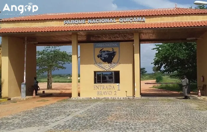 INBAC transfere 100 elefantes para os parques do Bicuar e Quiçama até 2027