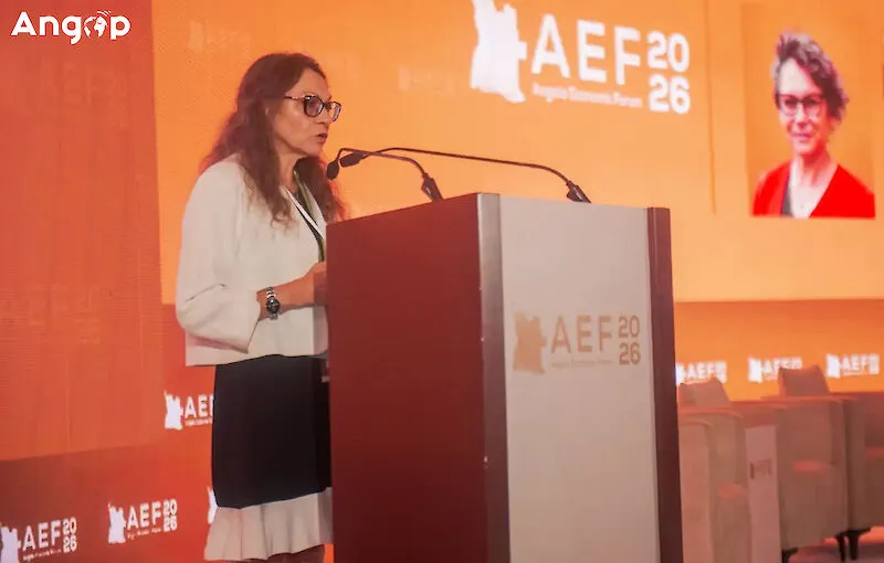 Diplomacia económica entre Angola e França mantém firme - embaixadora