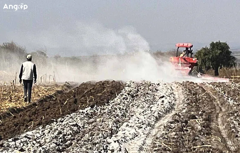 Programa de Correcção de Solos abrange dois mil hectares no Huambo