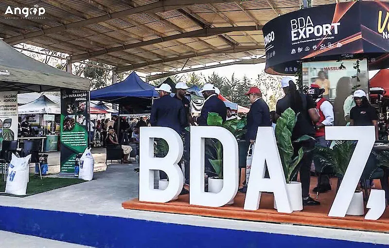 BDA transfere carteira de crédito mal parado de 434 entidades, avaliada em 261,92 mil milhões Kz, para a Recredit