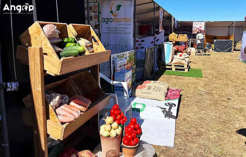 Feira de Produção de Calandula reúne 25 expositores locais