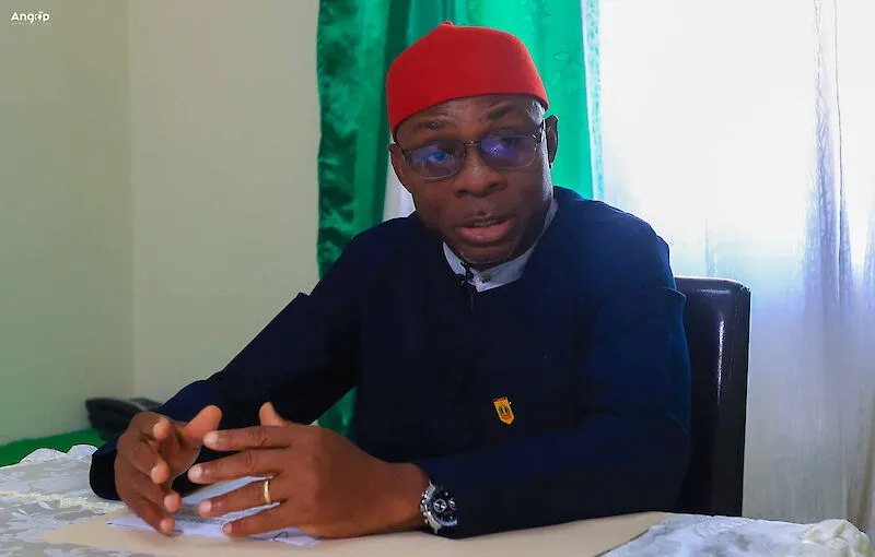 Empresários nigerianos querem investir nos sectores da agricultura e indústria automóvel