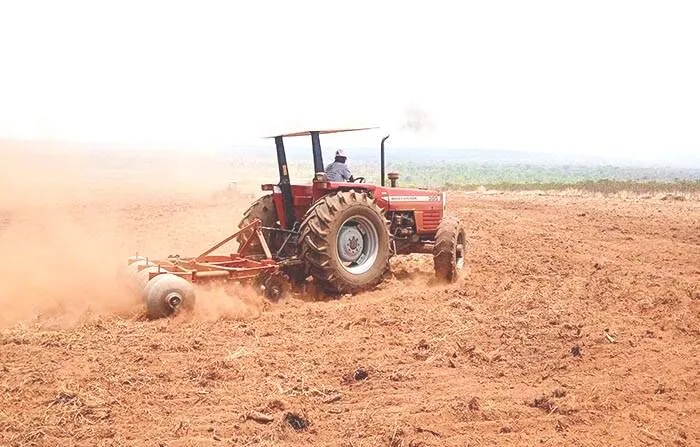 Projecto Agro-Mandioca distribui mais de mil hectares a camponeses em Malanje