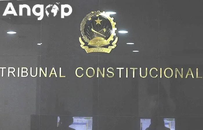 Tribunal Constitucional anula Convenção Nacional do PHA