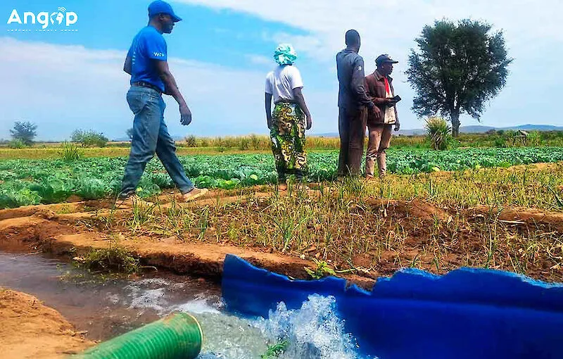 PAM reforça resiliência em mais de três mil agricultores da Huíla