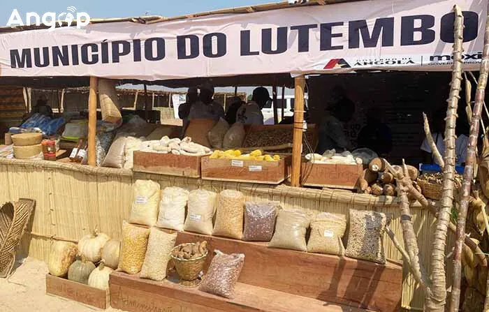 Mulheres rurais do Moxico esgotam produtos agrícolas durante feira em Camanongue