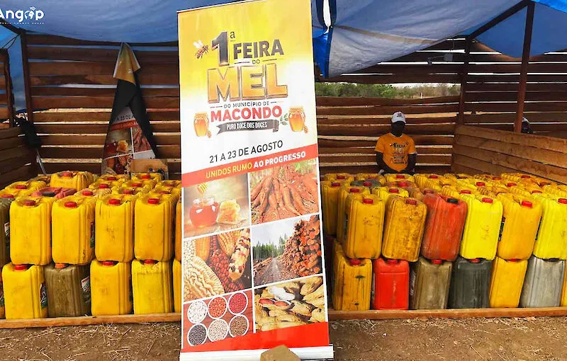 Feira expõe capacidade de produção de mel em Macondo