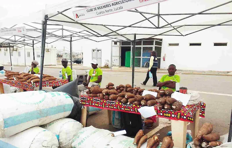 Dundo apresenta potencialidades na Feira da Diversidade