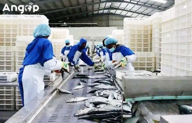 PDP-ANA convoca Convenção Nacional para 30 de Outubro com 198 delegados; Angola participa em eventos sobre produtos do mar em Vigo de 5 a 8 deste mês