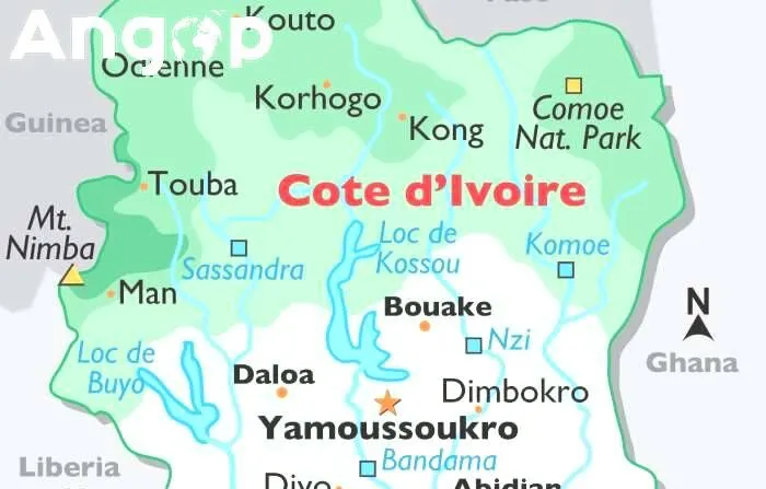 Presidentes da Guiné e Côte d'Ivoire concordam em fortalecer cooperação