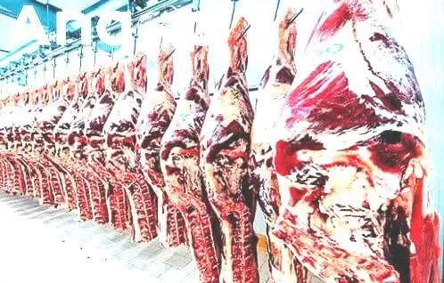 União Europeia suspende compra de carnes do Brasil