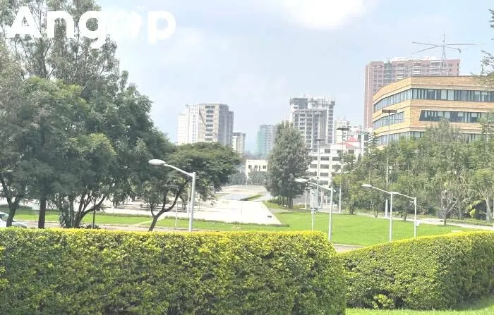 IGAD elogia esforços de restauração ambiental da Etiópia como modelo regional