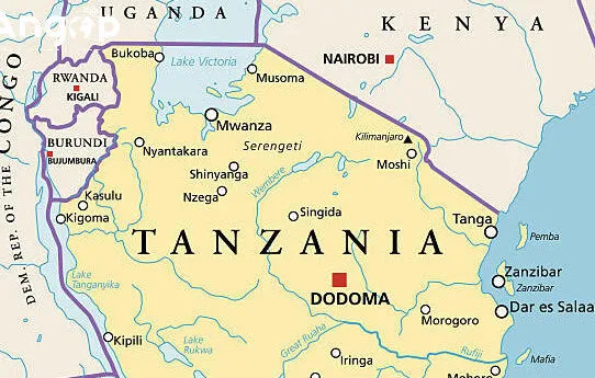 Partido tanzaniano no poder indica novo candidato a vice-presidente