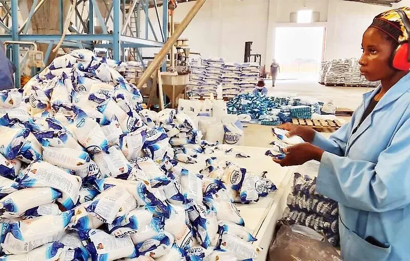 Refinaria do Panguila produz mais de dois mil sacos de sal por dia