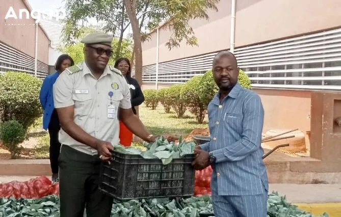 Serviço Penitenciário doa meia tonelada de hortícolas ao Hospital Geral do Cubango