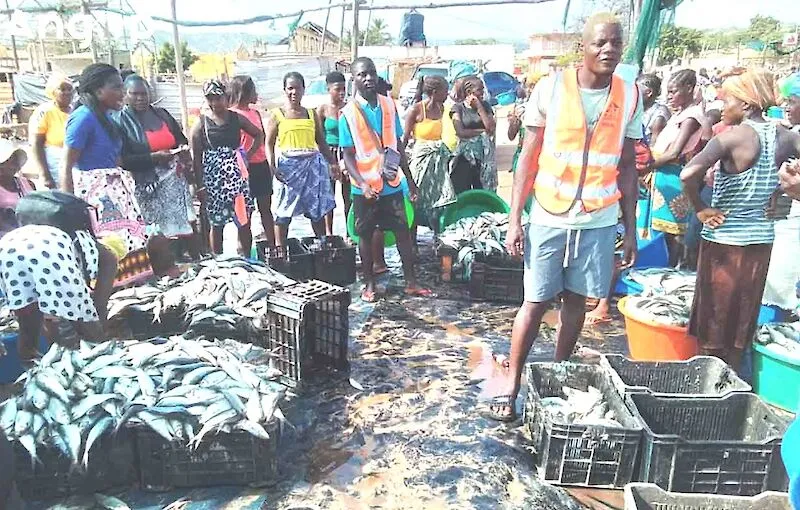 Bié cria comité de pesca artesanal e aquicultura