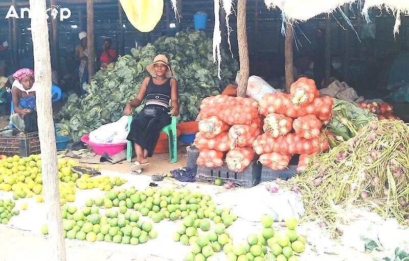 Produtos nacionais registam maior variação no Índice de Preços Grossista
