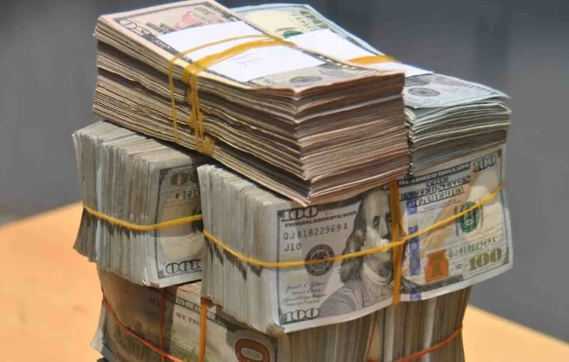 Polícia apreende mais de USD 500 mil na fronteira do Luvo
