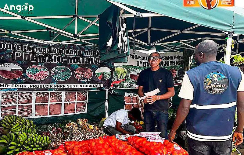 Volume de negócios na Expo-Matala cresce 86%