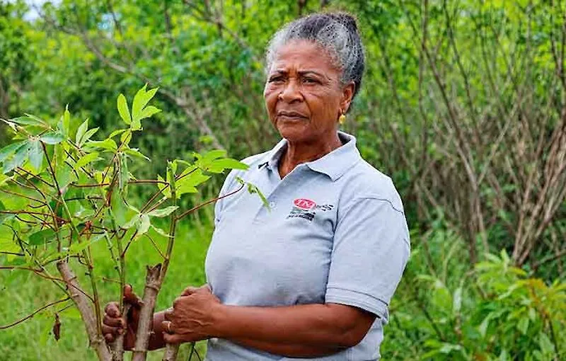 "Rainha da Mandioca Angolana” entre as 100 Mulheres Heroínas da FAO