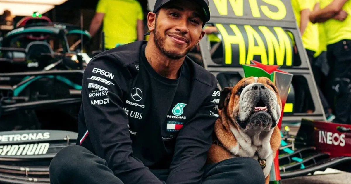 Lewis Hamilton falta a teste crucial da Ferrari por pausa do cão em coma