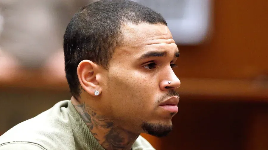 Negligência com cão leva Chris Brown a pagar milhões em indemnização à ex-empregada