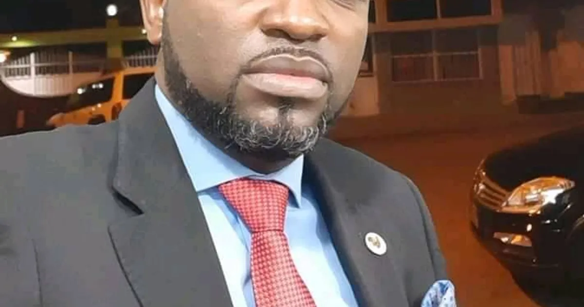 MPLA tem "táticas constantes" para adiar autárquicas