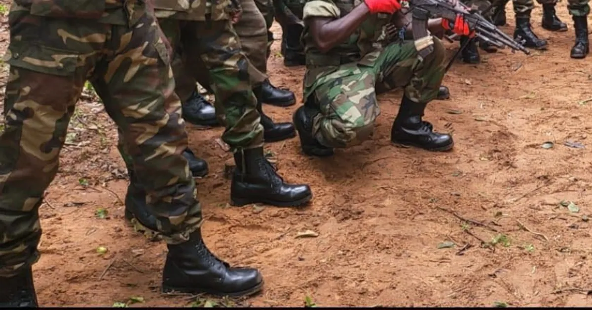 Cabinda: FLEC convida Presidente da República João Lourenço a visitar bases militares das FAC