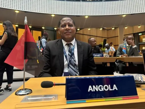 Friends of Angola condena promulgação da nova Lei das ONG em Angola