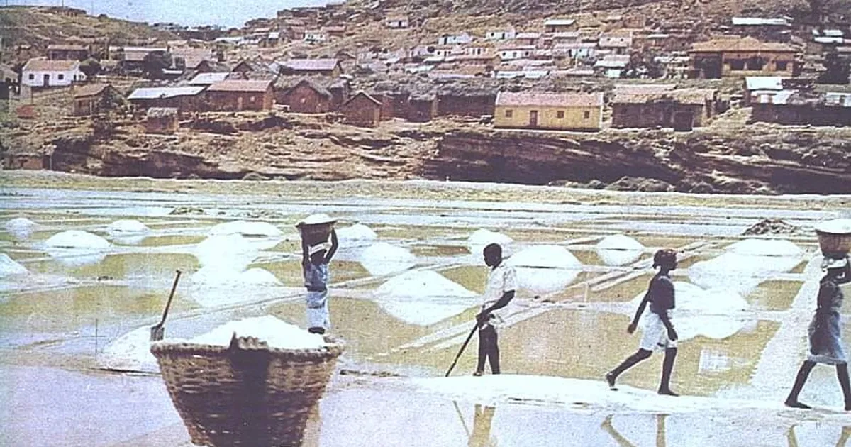 Mais de 400 mil toneladas de sal produzidas em dois anos