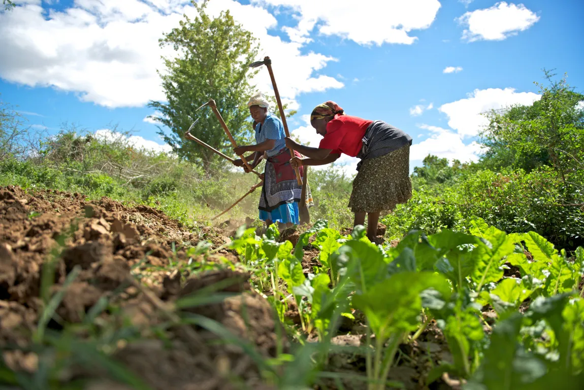 Agricultores querem produção local de fertilizantes para reduzir importações