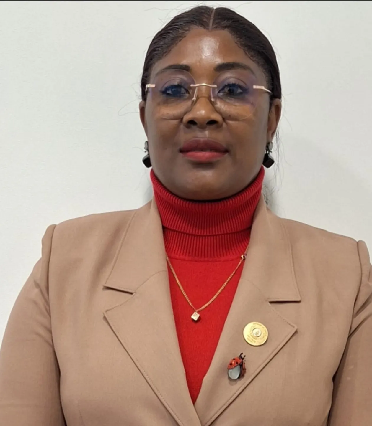Governadora prevê queda dos preços com conclusão da estrada Cuito Cuanavale-Mavinga