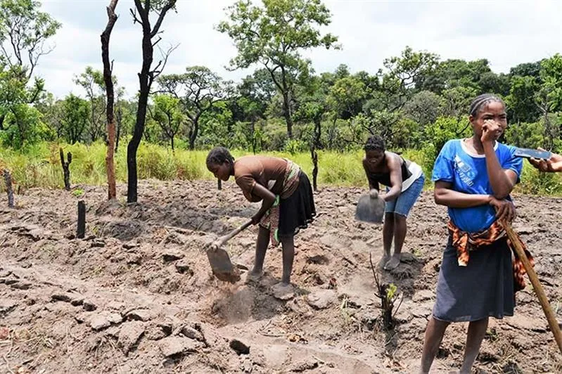 Seca ameaça safra em Sanza Pombo
