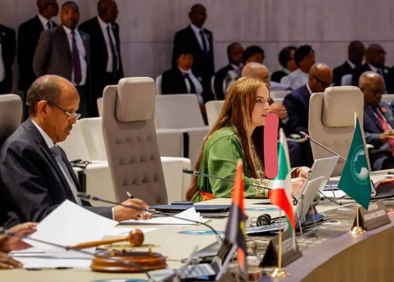 União Africana defende reformas urgentes nos mecanismos de prevenção e resolução de conflitos no continente