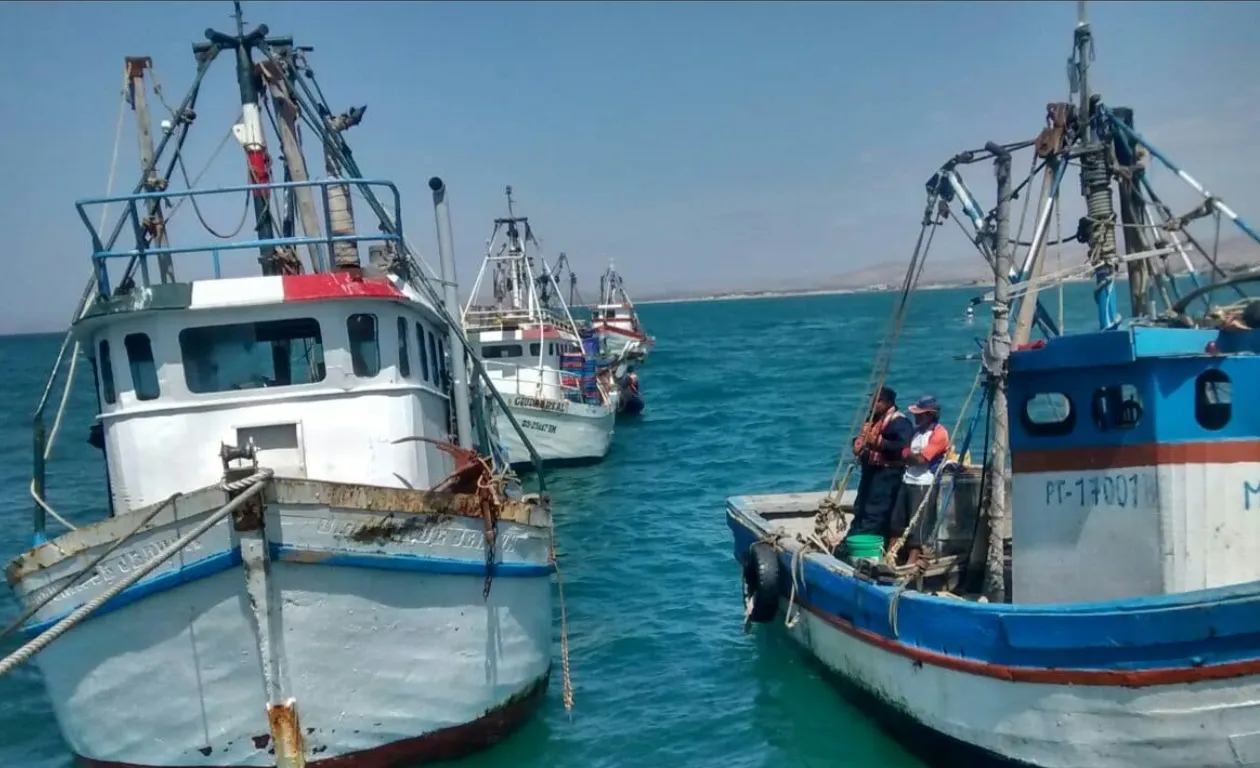 APASIL denuncia restrições a marinheiros estrangeiros na pesca nacional