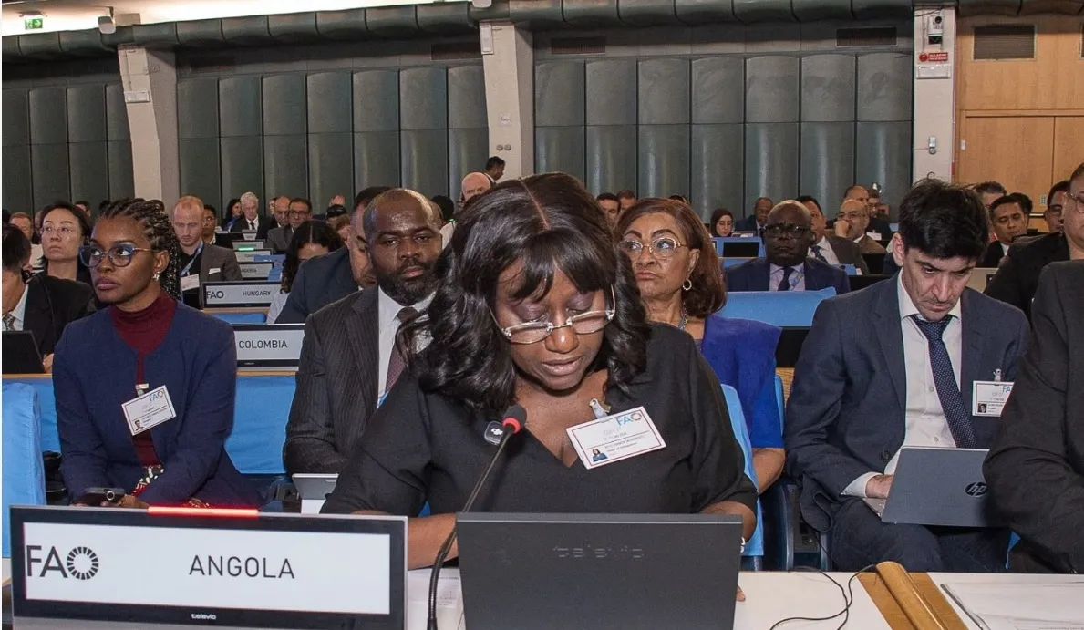 Angola pede reforço da capacidade nacional para avaliar recursos pesqueiros