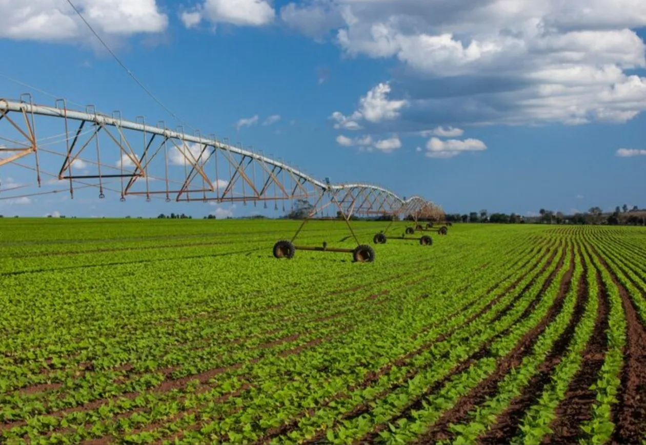 Tecnologia e investimento entram na corrida para aumentar produção agrícola em Angola