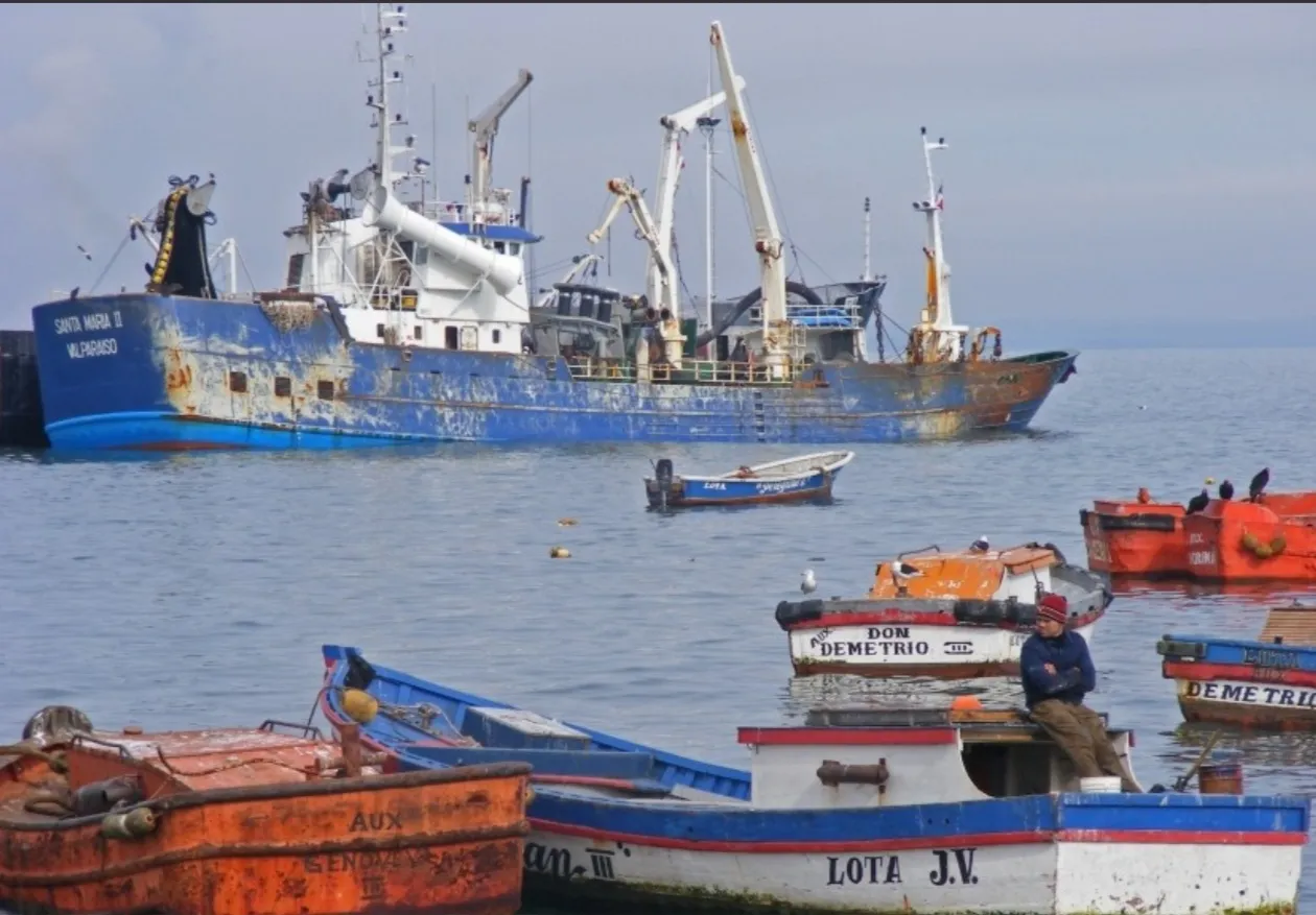 País gasta USD 40 milhões por ano na importação de equipamentos de pesca