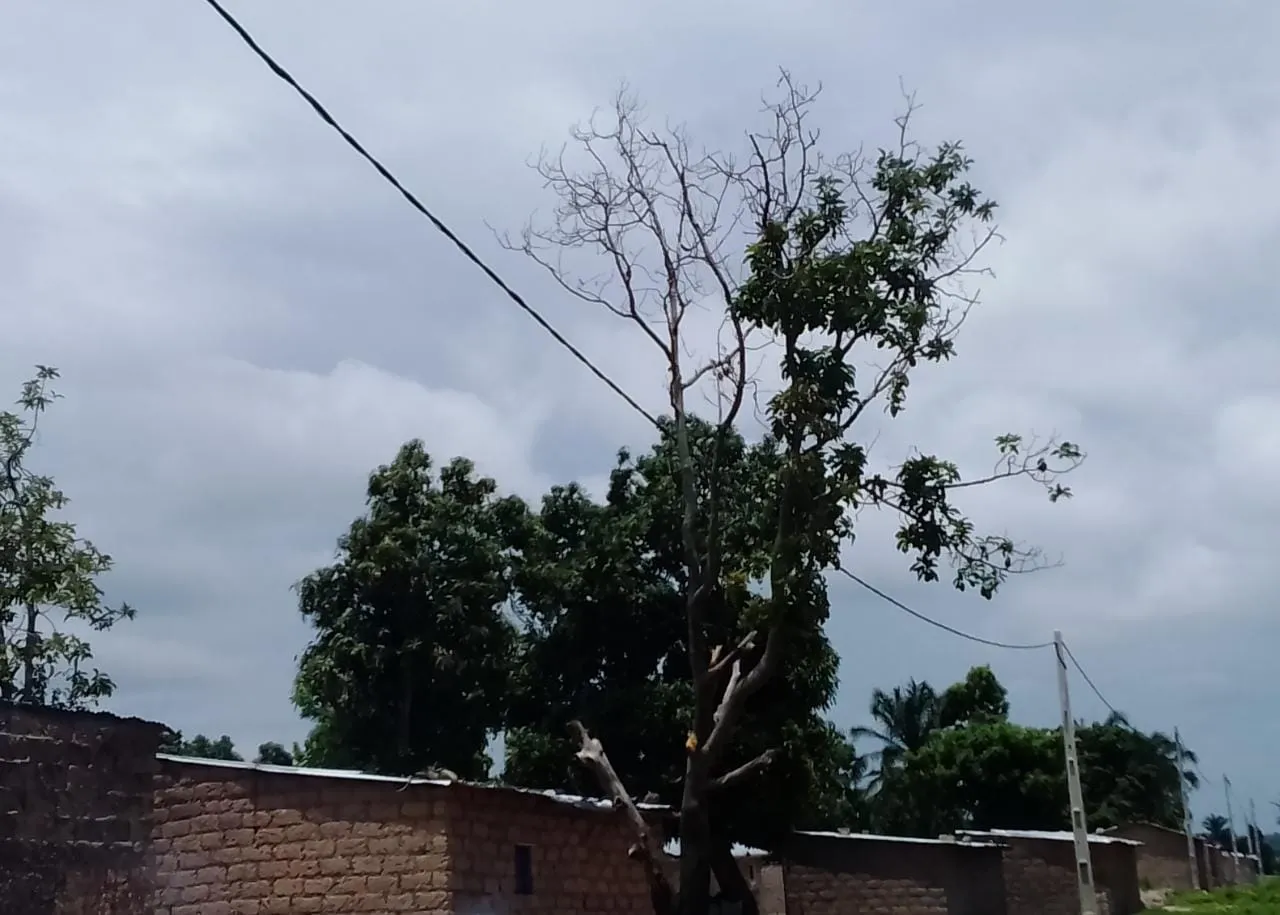 Moradores do bairro Onga podem ver o problema resolvido: ENDE anuncia visita para avaliar cabos de alta tensão