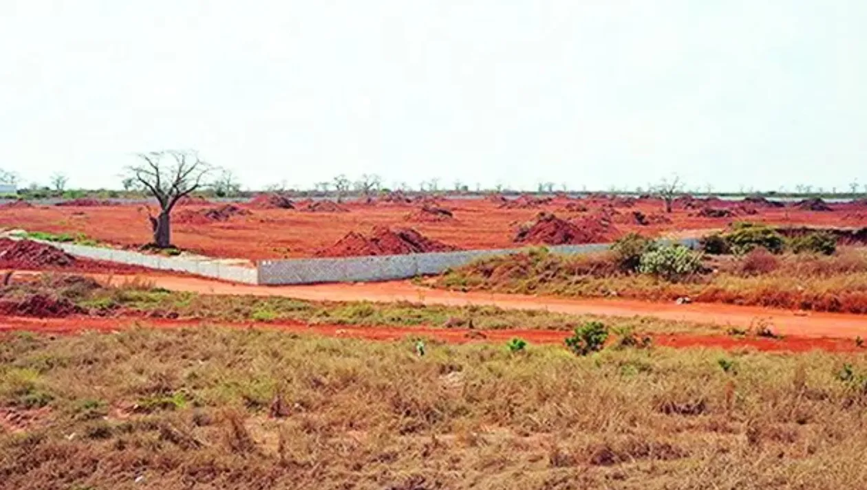 Igreja Católica alerta para perda de espaços agrícolas devido ao avanço das construções