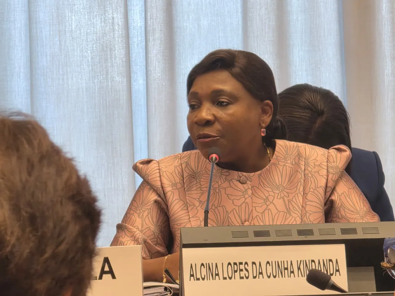 Angola apresenta na ONU medidas de combate à discriminação contra as mulheres