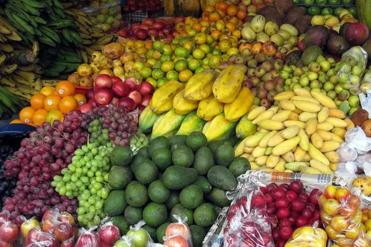 Agricultura garante 34% de exportações em 2025: Agrónomo defende maior política de apoio