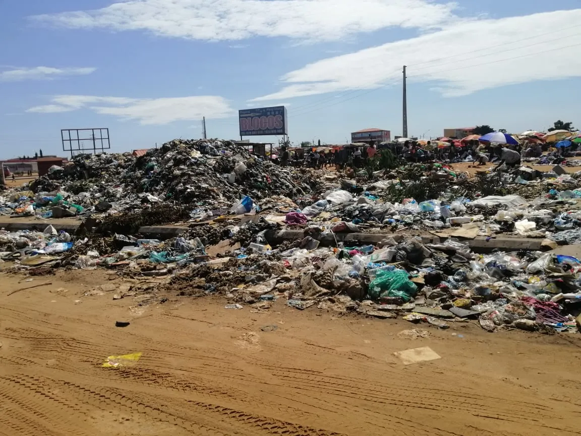Dia Mundial do Ambiente:  Analistas alertam para desafios no sector