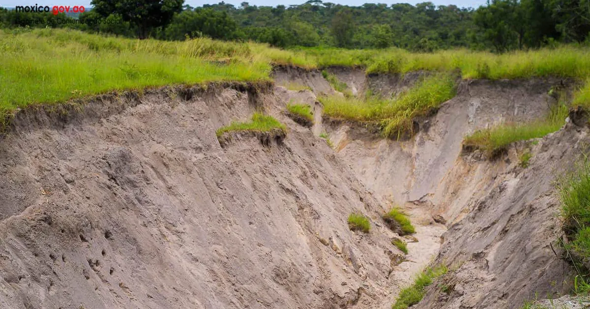 Ravina coloca em risco estrada que liga as províncias do Huambo, Bié e Cubango