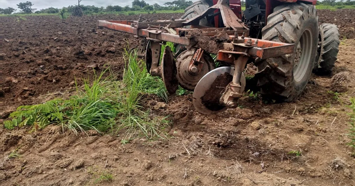 Cabinda tem mais de mil hectares de terra prontos para época agrícola