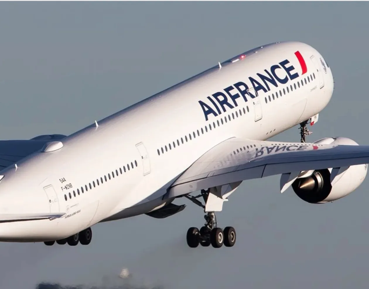 Avião de repatriamento francês forçado a regressar aos Emirados Árabes Unidos