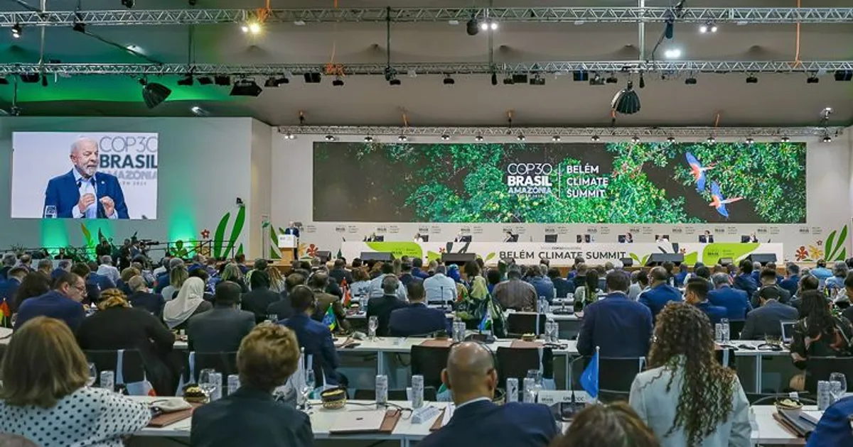 COP 30: países em desenvolvimento devem exigir maior acesso ao financiamento, defende especialista