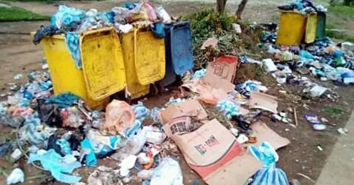 Ambientalista alerta para impactos do descarte inadequado de sacos plasticos